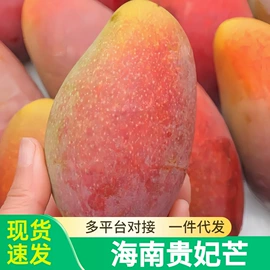 块茎类;其他水果;苹果