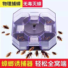 蟑螂诱捕效蟑螂药家用驱抓贴粘除灭蟑螂神器一窝端