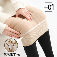 羊毛鲨鱼裤女2025新款冬季高腰保暖裤羊绒棉裤加绒加厚外穿打底裤