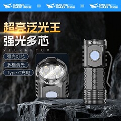 跨境新款便携手电筒强光迷你家用手电筒户外超亮远射随身led灯轻