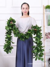 �G�~�ٻ���ֲ��Gֲ����늾������쾰�����~���҃����ϻ��ٗl�b�