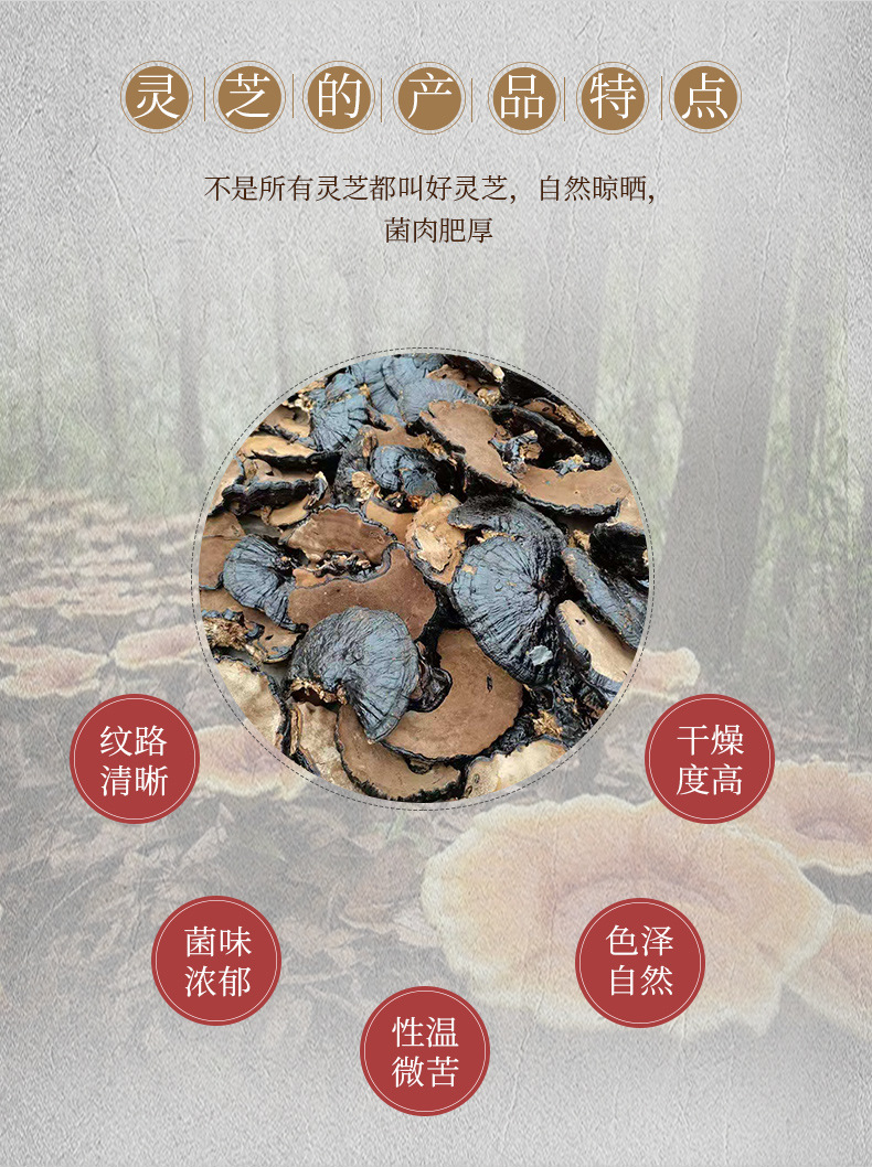 灵芝】_05.jpg