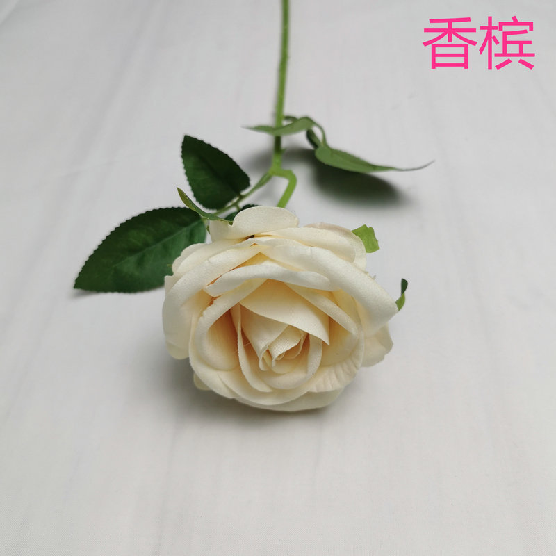 샴페인