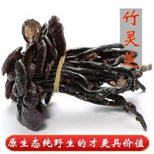 云南灵芝野生竹灵芝整枝非长白山灵芝切片林芝野生食药用菌
