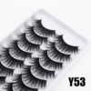 Y53