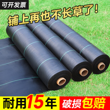 ݲݲڲݲ@䌣÷ݲĤزlSֱN