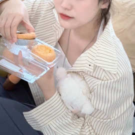 法式条纹衬衫女2025年新款超好看设计感小众上衣洋气长袖穿搭衬衣