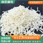 填充大量婴幼儿毛绒玩具