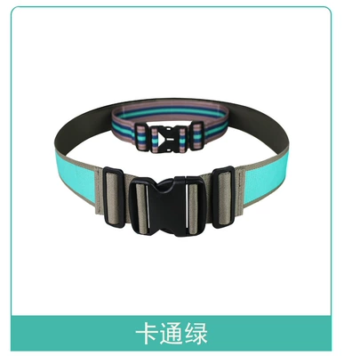 Other Automotive Safety Supplies – Electric Motorcycle Safety Strap - one-size-fits-all-133cartoon-green