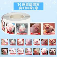 2000贴小香猪刻薄表情包卷卷贴贴纸搞笑小猪沙雕创意贴画手账自粘