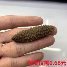 ���ɴ̶d������؛��Ȼ����S�״̅��ɶȺ��ݰl�ʴ����l 0.68һֻ