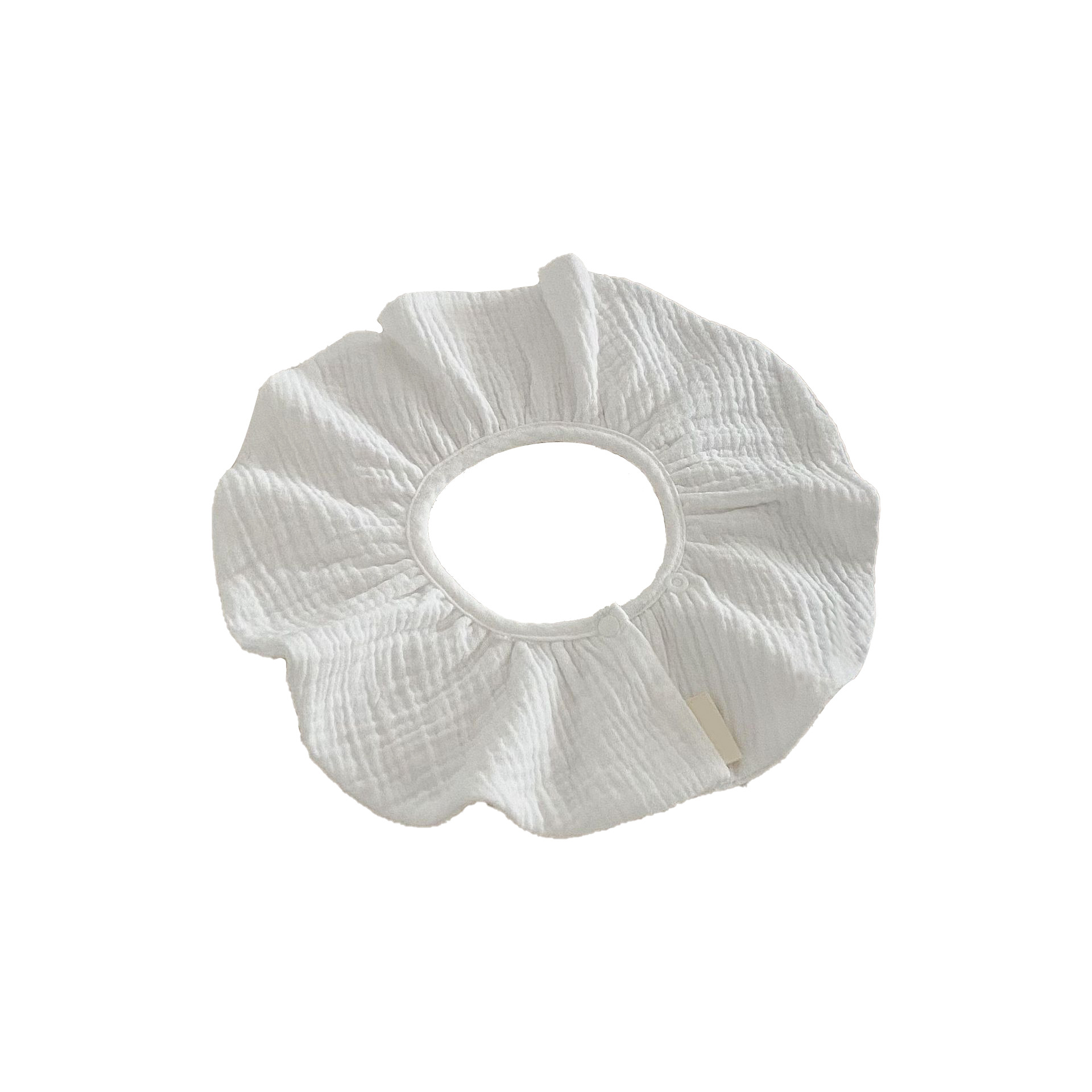 Pure white-big flower type