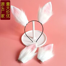 �ɐ�С���Ӱl�A�l���߼��аl��ö���W�t�^�����﹝�¿�l�����l