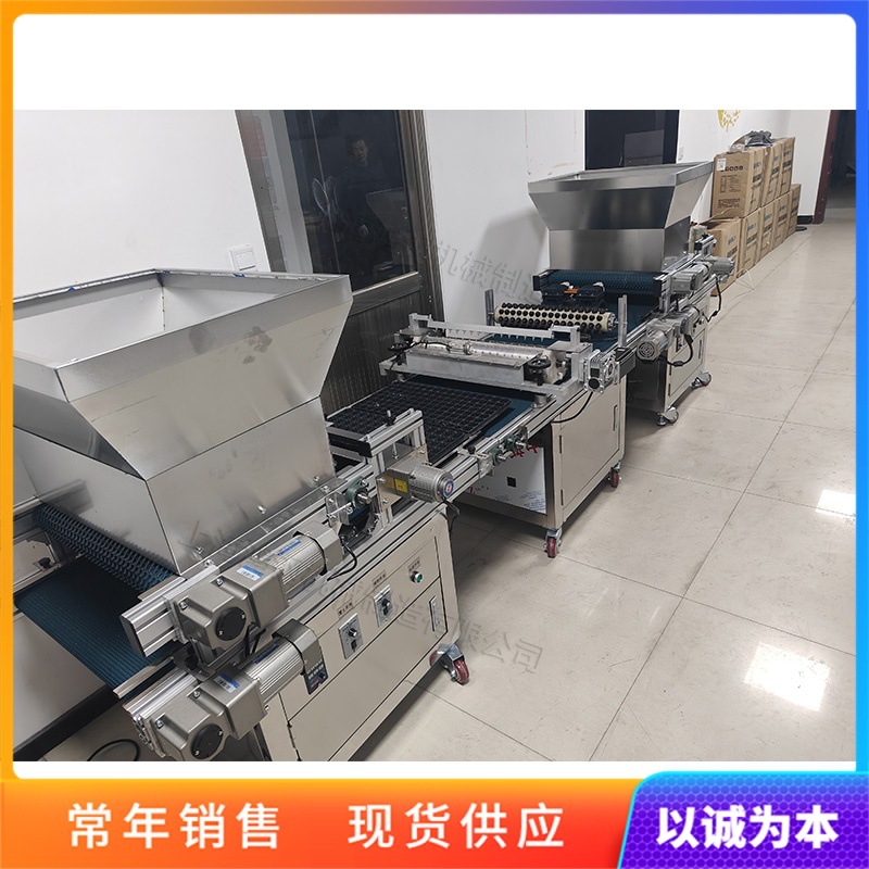 滚筒式穴盘育苗流水线 铺土覆土压穴播种机 农用大棚花卉植播设备