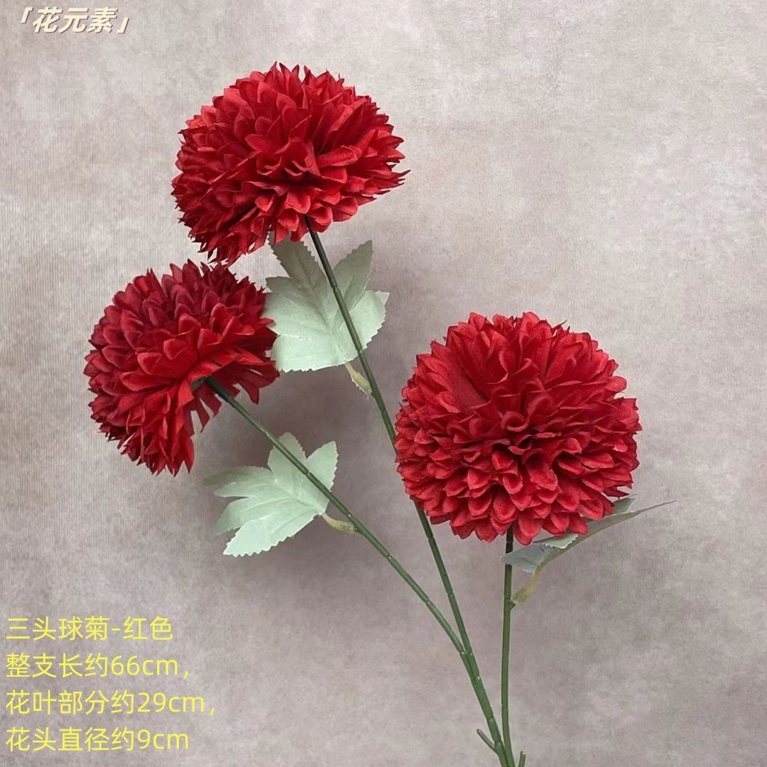 레드
