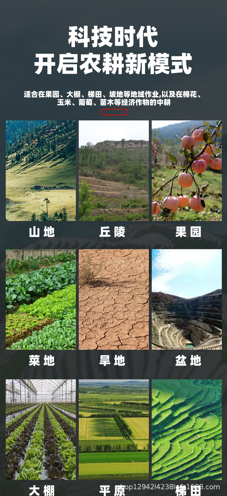 详情 (4) - 副本.jpg