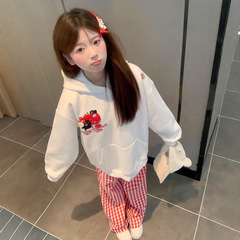 韩版重工苹果小猫刺绣连帽卫衣女秋2025新款百搭小众慵懒风帽衫潮