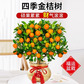 盆栽;其他园林资材;栽培基质