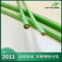 符合标准ul44xhhw-2电缆