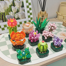 JK2725-727ֲﻨԶ[ͯƴbСweľ