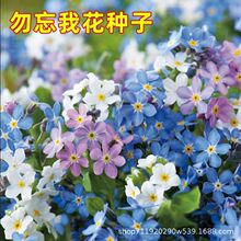 һNļ׷NöͥԺ̨ԻܷN