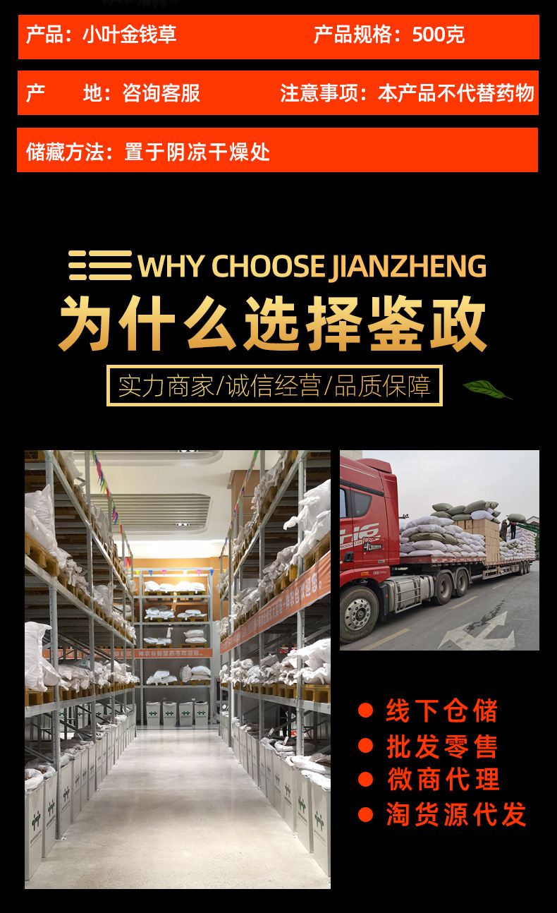 Dried Lysimachia Herb Jin Qian Cao Whole Loose Bulk Sichuan Small Leaf 500g specifications