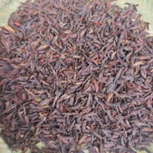 头春红芽孢茶叶红茶云南滇红晒红浓蜜香红茶厂家货源散装批发茶包