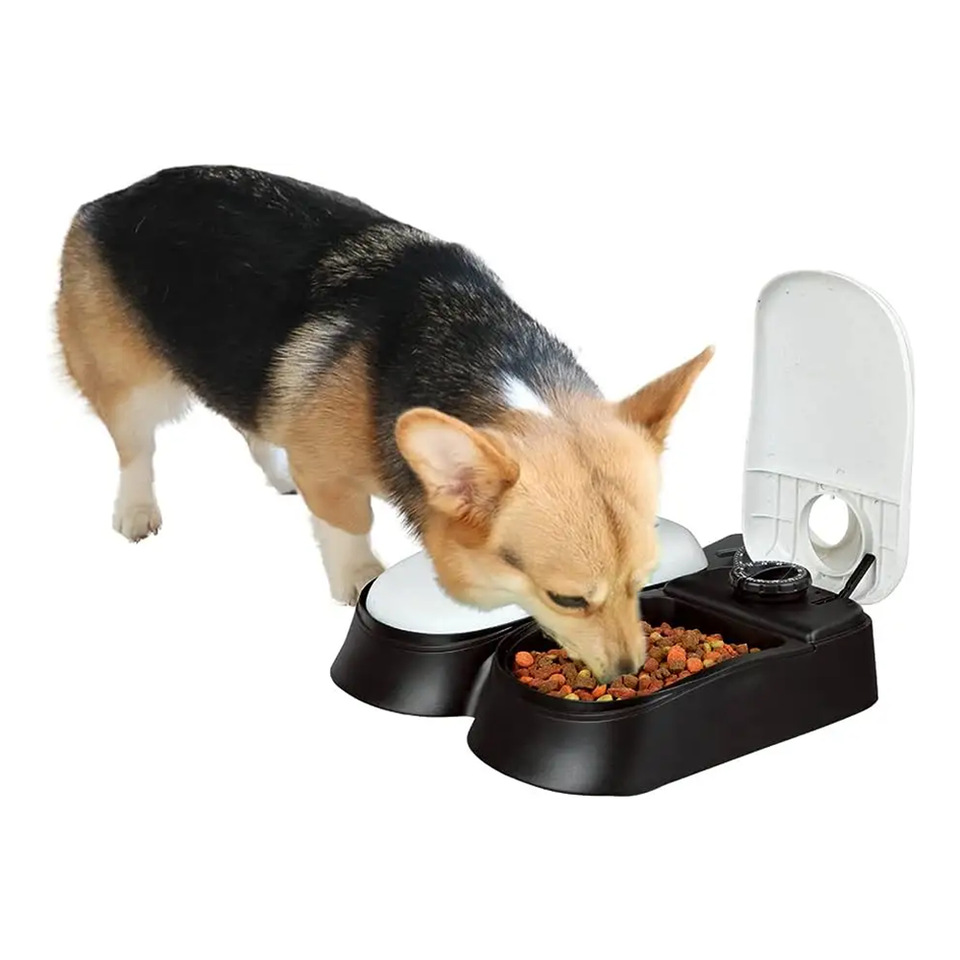 宠物碗宠物用品智能定时猫咪喂食器定时定量食具宠物自动喂食器