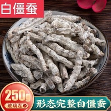 白僵蚕批发四川玻璃茬炒僵蚕粉正品无硫无添加纯天然僵虫中药批发
