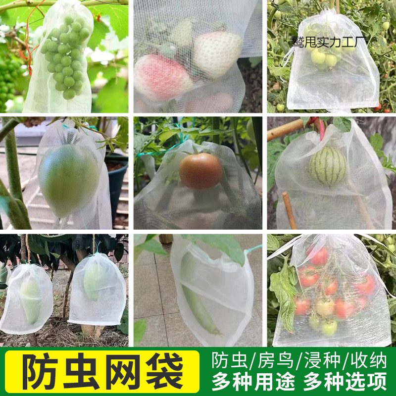 水果套袋防鸟袋通用袋瓜果防虫专用袋无花果葡萄桃子草莓防虫袋