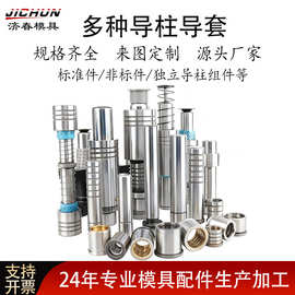卸料板内导柱导套精密 SGBH SGBBF 滚珠衬套五金压铸冲压模具配件