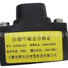 防爆终端接线盒FZH  FDH-40电热带终端帽