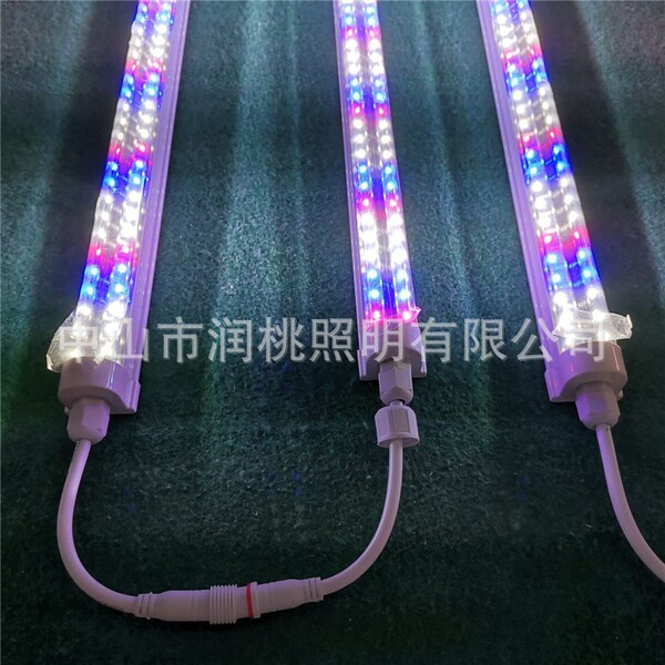 LED plant lamp