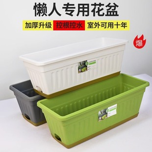 �L���λ������ϷN��������ͥ�̨�N����Nֲ���ݮ���ԷN�ˌ�����