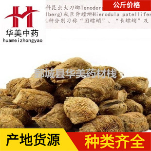 ɣ���1000�� �A����ș�� ���l������ ���� ��ɣ��� ��؛