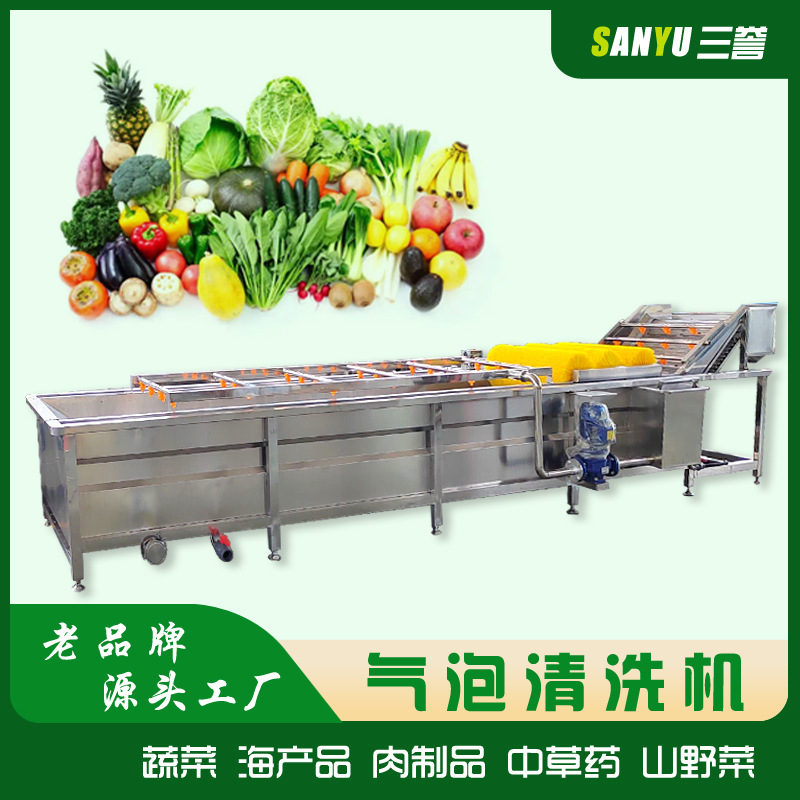 多功能清洗机 蔬菜水果菌菇清洗设备 气泡清洗机