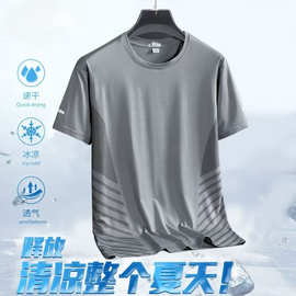 夏季速干冰丝短袖t恤男士凉感网眼马拉松轻薄透气半袖上衣批发价