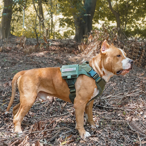 2024 New Pet Tactical Harness Dog Leash Breathable Tactical Vest Vest Special for Medium and Large Dogs