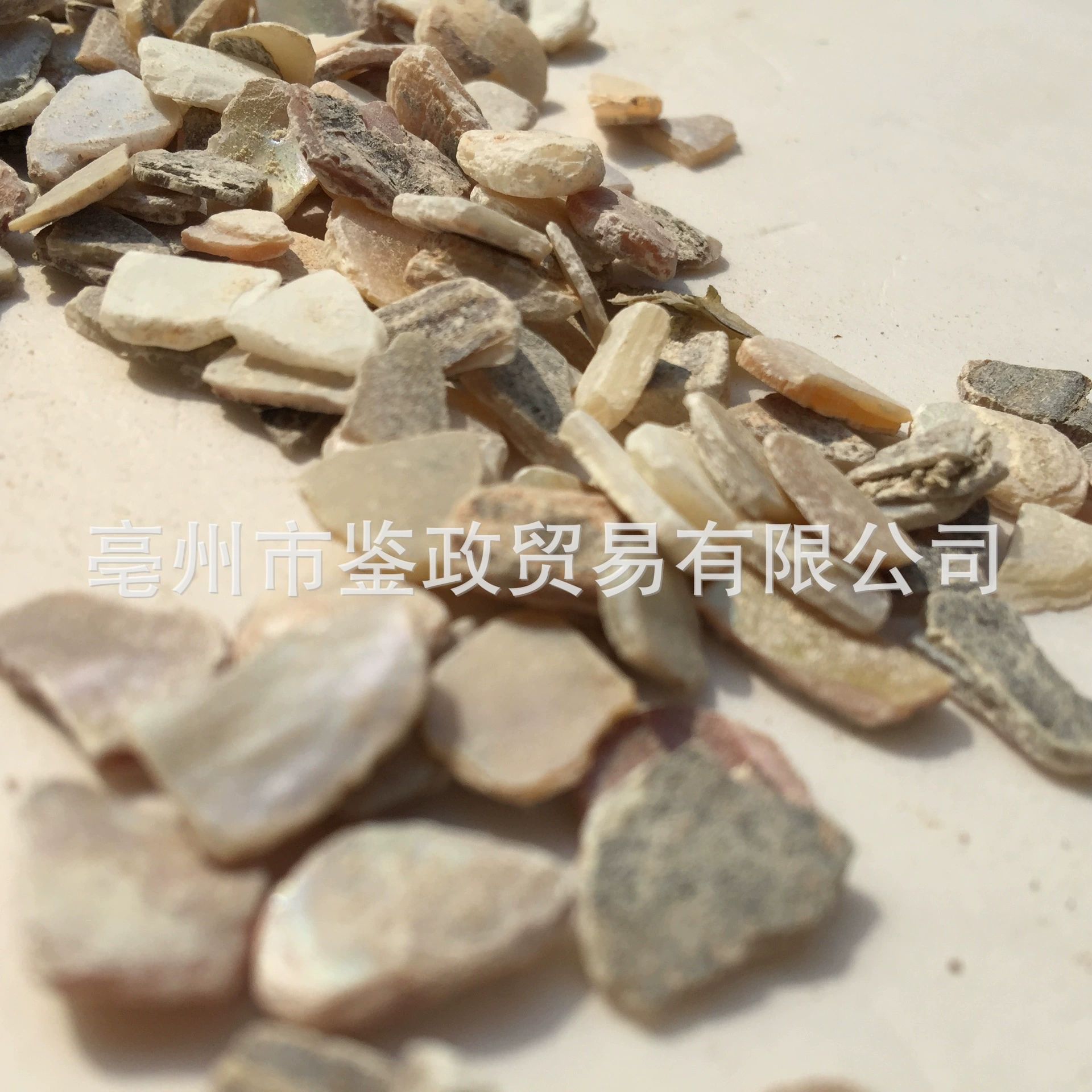 Zhen Zhu Mu Mother of Pearl Powder Raw Herb 500g Dried Concha Margaritifera for Traditional Decoctions key features