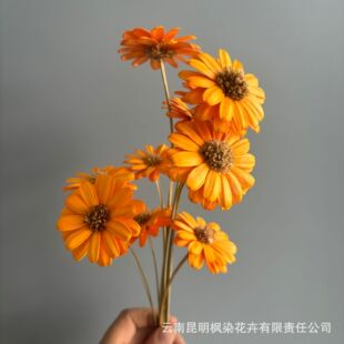 ����朽�ƽ�ڹ��ӻ��������廨DIY���ļҾ��b��ֹ��Y������b�