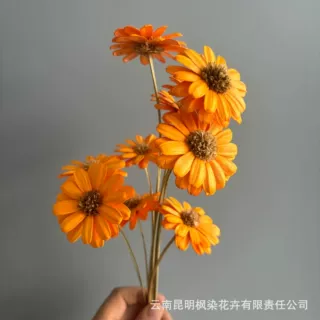 定制链接平口瓜子花永生花插花DIY花材家居装饰手工礼盒相框装饰