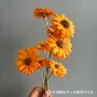 手工链接平口家居瓜子