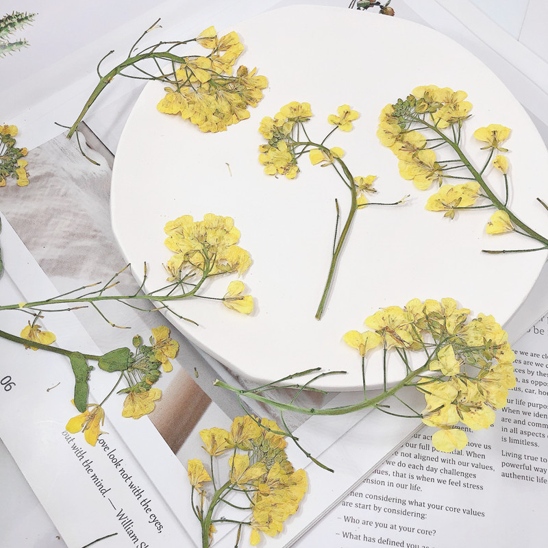 微信图片_20210821220143_副本