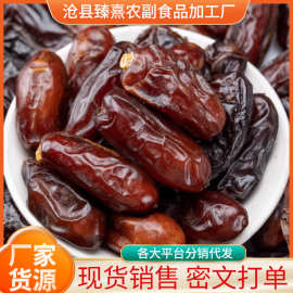黑椰枣伊朗即食干枣迪拜阿联酋沙特新疆特产果干蜜饯大颗粒蜜枣