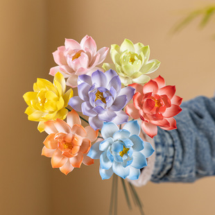 �մ�����ɻ����滨���͏d�����b[���ҾӲ廨�����ͶY���ù���