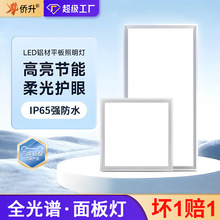 ȫ���V���ɵ�픟��X�۰�led300x600ƽ������N���l���gǶ��ʽ