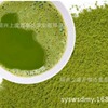 绿茶粉 蒸青绿茶粉300目 有机品质 粉质细腻 有生产资质 28年老厂|ms