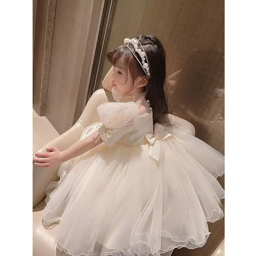 Princess Dress for Girls, Summer Puff Dress, Birthday Formal Wear for Kids, Baby Children Summer Outfit Performance Dress, Stylish Little Girl Dress