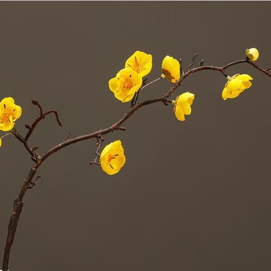루이 매화 노란색 (높이 60cm )