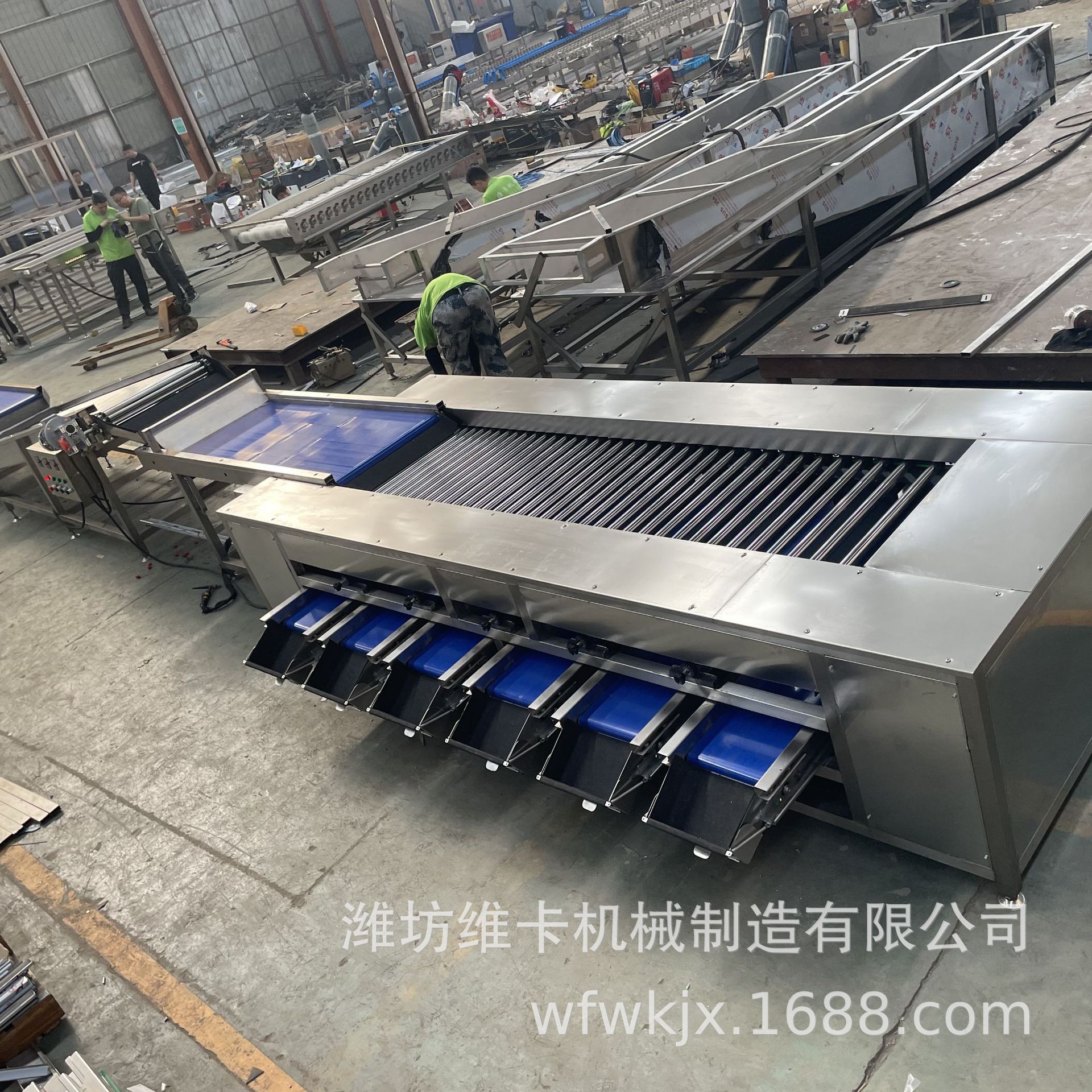 千禧果滚杠式选果机 小柿子大小分选机 核桃直径分拣机